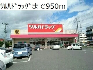 ツルハドラッグまで950m