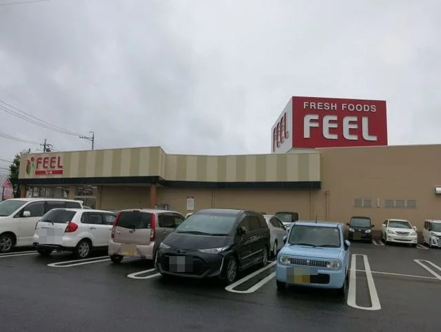 フィール岡崎柱店まで700m