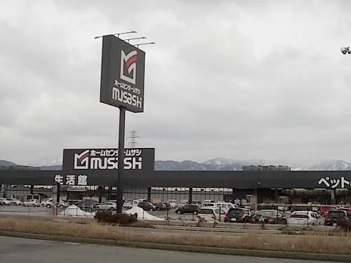 ホームセンタームサシまで1100m