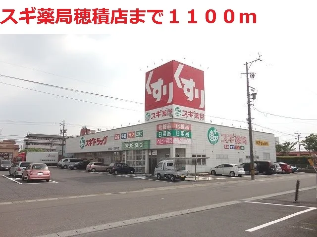 スギ薬局　穂積店まで1100m