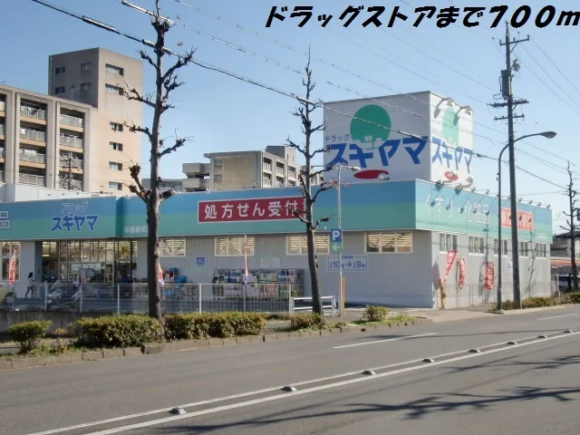 ドラッグスギヤマまで700m