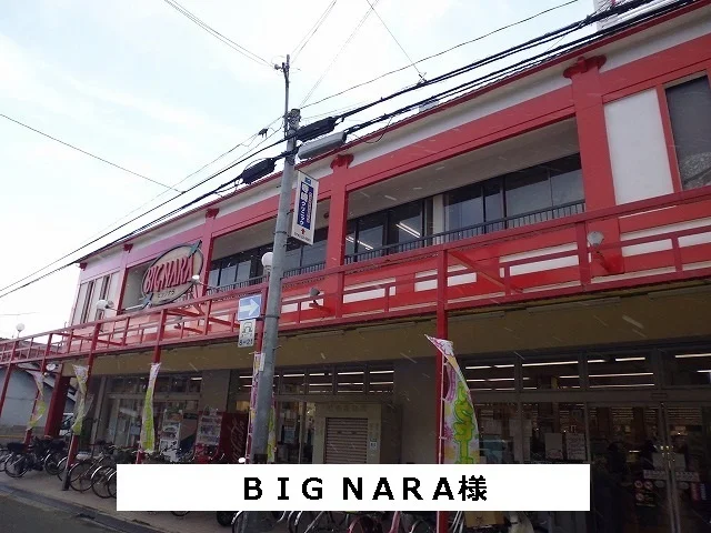 ビッグ・ナラまで770m