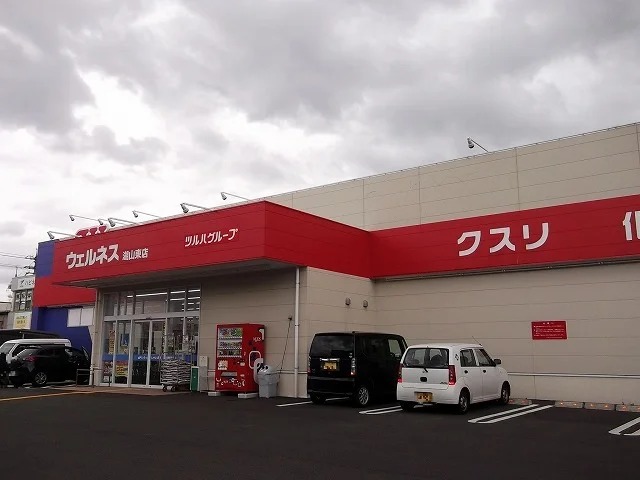ウェルネス 湖山東店まで550m