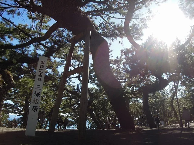 三保松原まで1400m