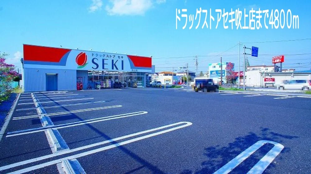 ドラッグストアセキまで4800m