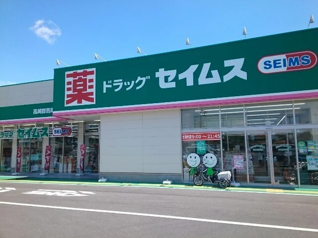 セイムス高崎群馬町店まで1100m
