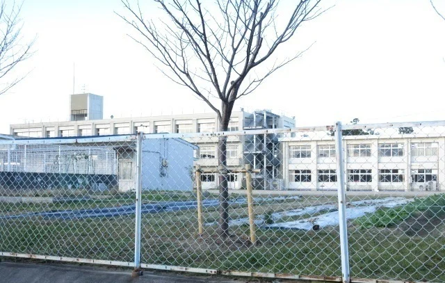 小野江小学校まで350m