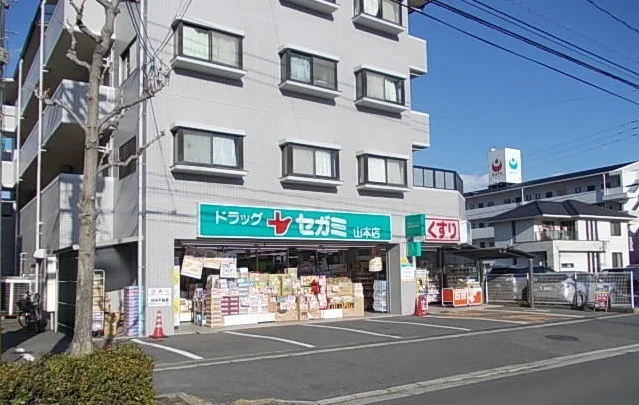 ドラッグセガミまで700m