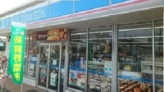 ローソン野田柳沢店まで650m