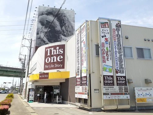 ディスワン　小牧店まで750m