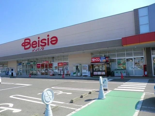 ベイシア渋川こもち店まで1100m
