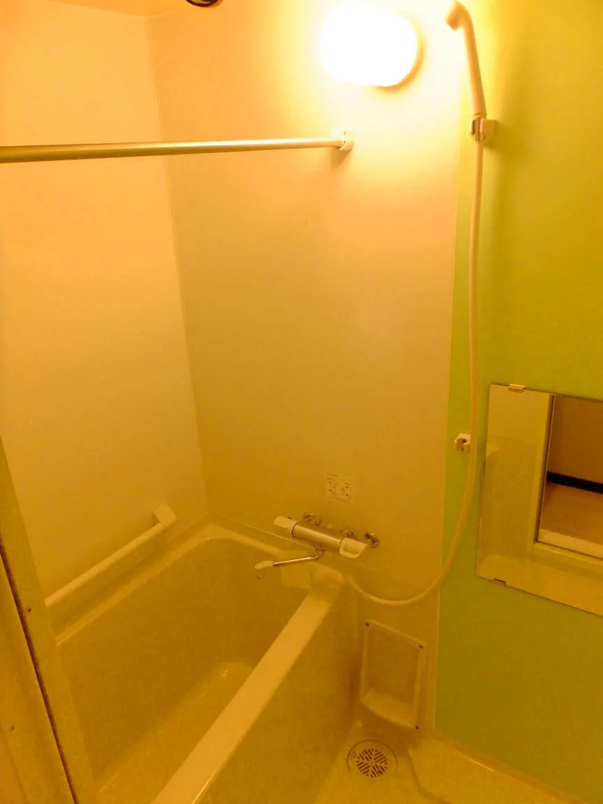 同シリーズの類似となります。現況を優先致します。