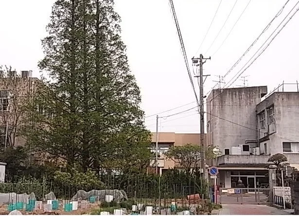 吉浜小学校まで200m