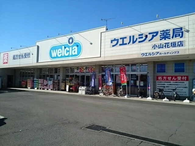 ウエルシア小山花垣店まで1100m