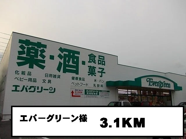 エバーグリーン様まで3100m