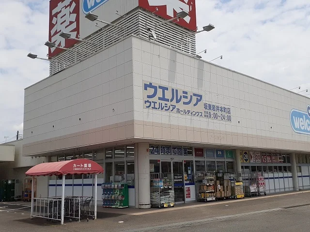 ウエルシア坂東岩井本町店まで850m