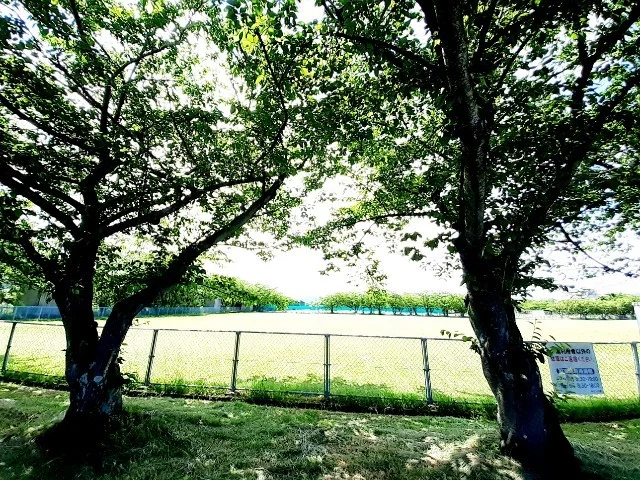 厚原スポーツ公園まで1200m