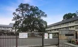 相模原市立新磯小学校まで900m