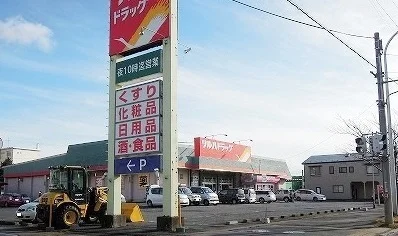 ツルハドラッグ河原木店まで650m