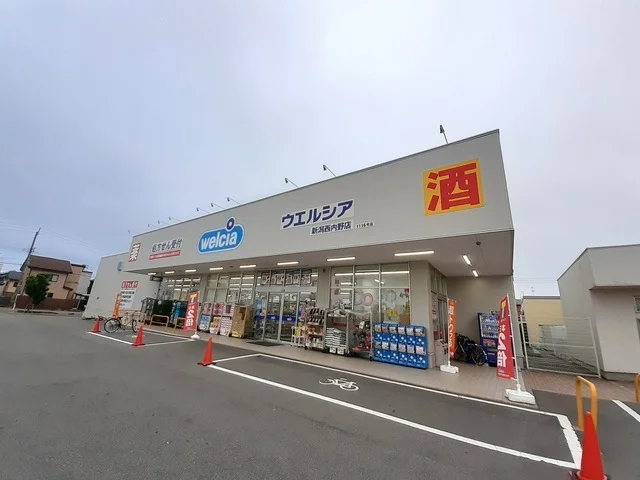 ウエルシア新潟西内野店まで350m
