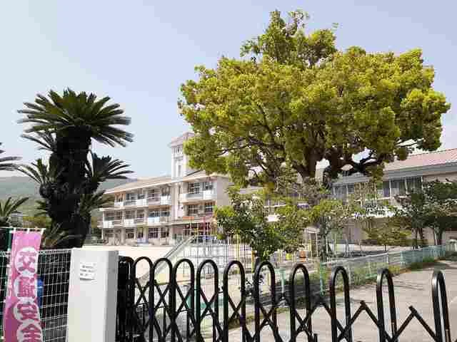 山田小学校まで283m