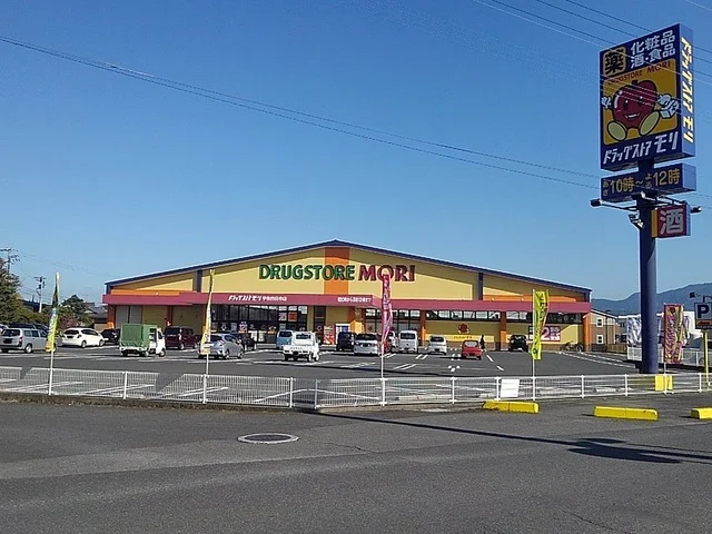 ドラッグストア モリまで1200m