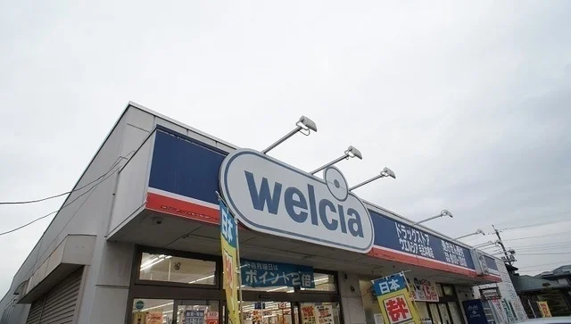 ウエルシア毛呂本郷店まで400m