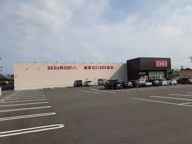 コスモス大隅有明店まで450m