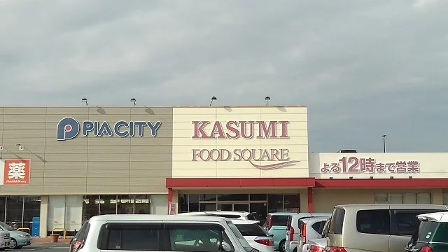 カスミ宮代店まで1100m