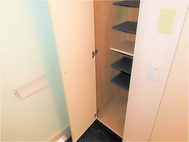 シューズボックスあり