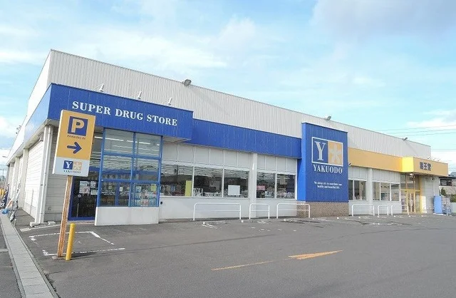 薬王堂田向店まで1100m