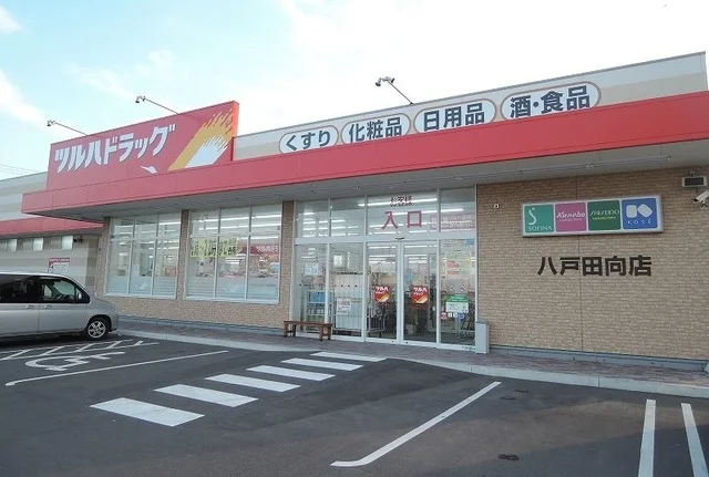 ツルハドラッグ八戸田向店まで550m