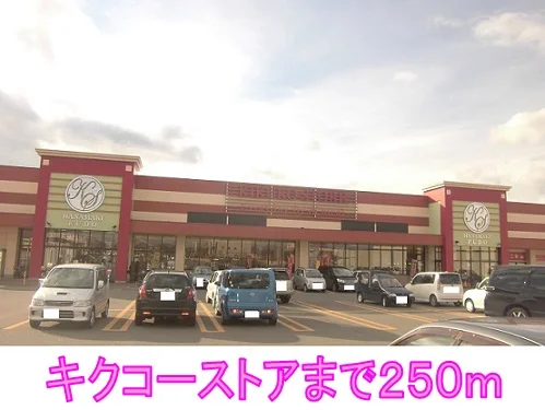 キクコーストアまで250m