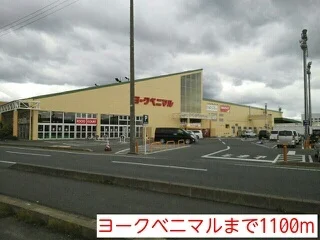 ヨークベニマルまで1100m