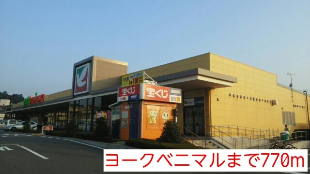 ヨークベニマルまで770m