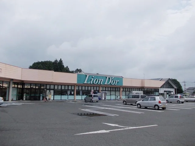 リオン・ドール 高根沢店まで1400m