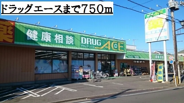 ドラッグエースまで750m