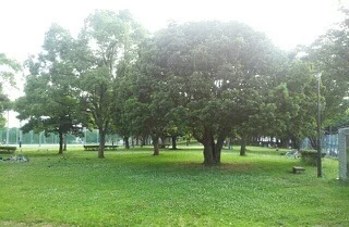 大岡公園まで400m