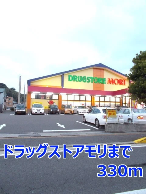 ドラッグストアモリまで330m
