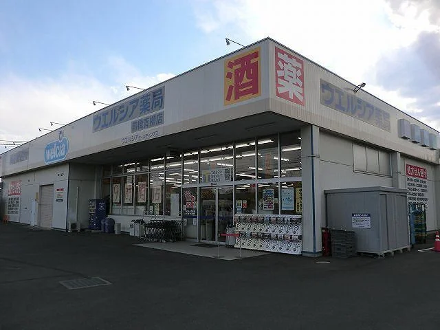 ウエルシア前橋青柳店まで1300m