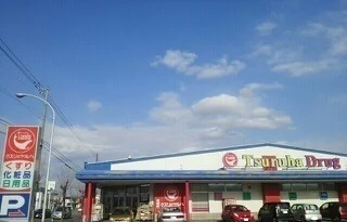 ツルハドラッグ豊岡12条店まで900m