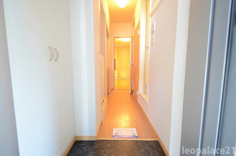 ※写真と現物が異なる場合は現物を優先いたします。