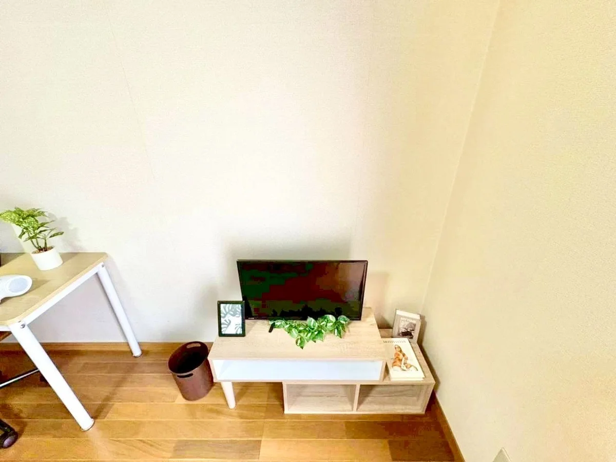 ※撮影用の観察植物・食器調理器具・雑貨類等はございません。※写真は現況優先