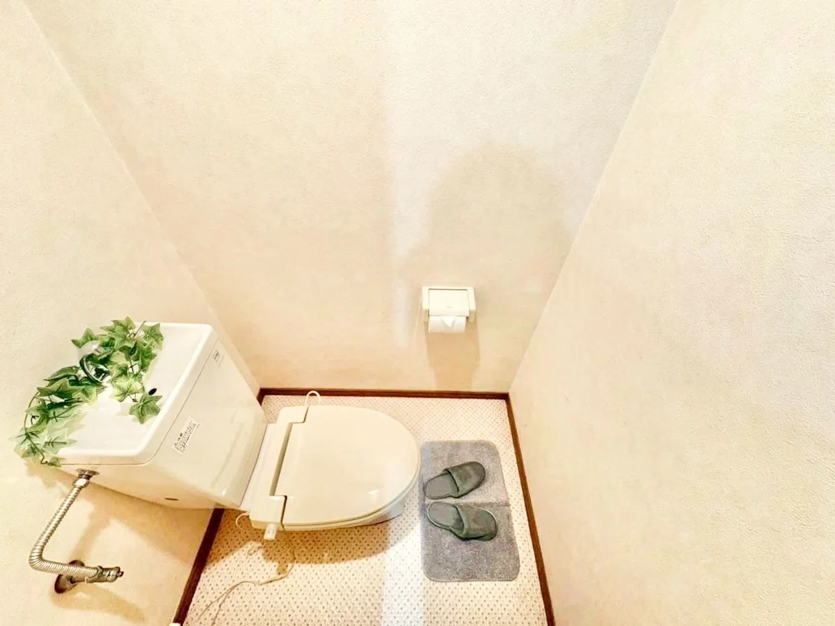 ※撮影用の観察植物・食器調理器具・雑貨類等はございません。※写真は現況優先