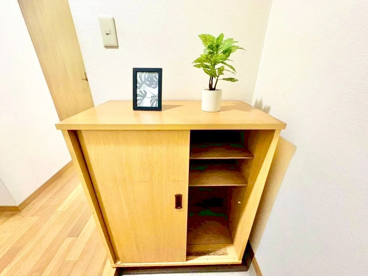 ※撮影用の観察植物・食器調理器具・雑貨類等はございません。※写真は現況優先