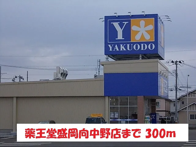 薬王堂盛岡向中野店まで300m