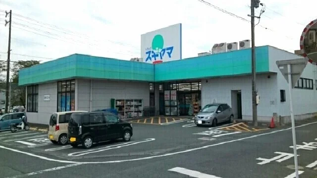 ドラッグスギヤマ三河一宮店まで1300m
