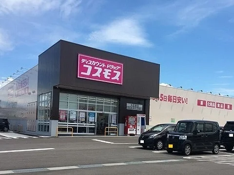 コスモス大広田店まで500m