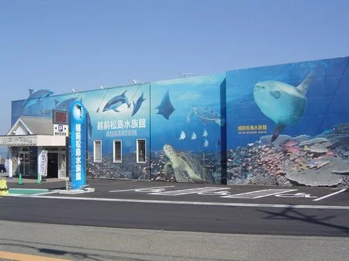 越前松島水族館まで1700m