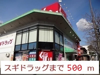 スギドラッグまで500m